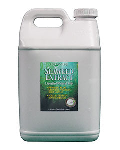 organic liquid seaweed fertilizer Grow More Organic Seaweed Extract