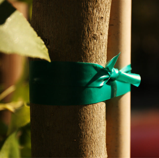 Plant Tape Vinyl Stretch Tie 1/2" x150' Roll Green HydroFarm