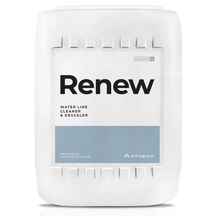 Athena Renew 5 Gallon