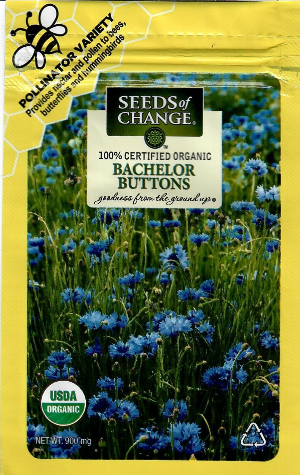 Seeds of Change Bachelor Buttons