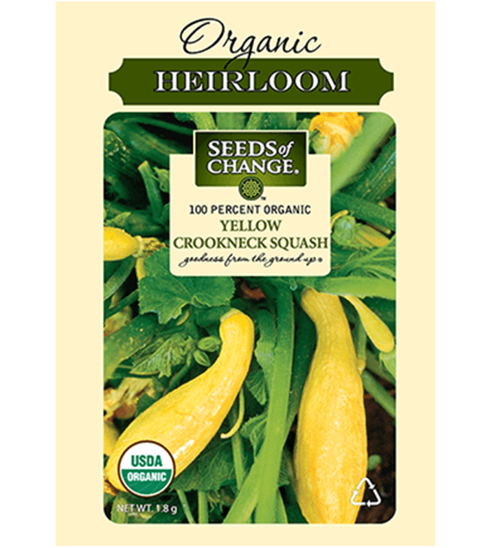 Seeds Of Change™ Yellow Crokneck Squash