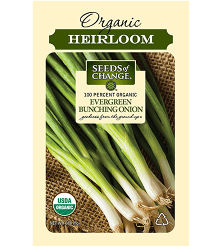 Seeds Of Change™ Evergreen Bunching Onion