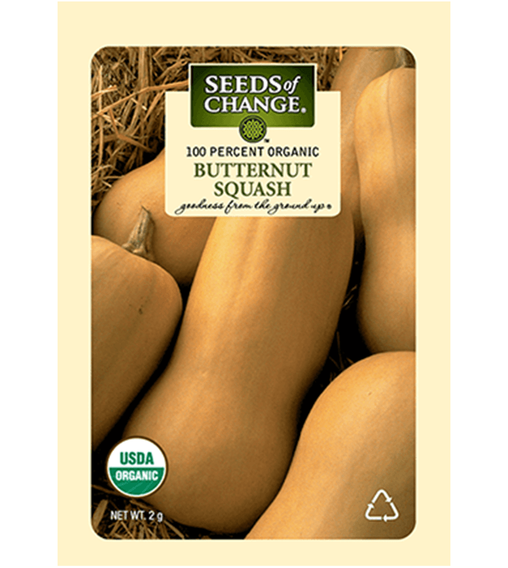 Seeds Of Change™ Butternut Squash
