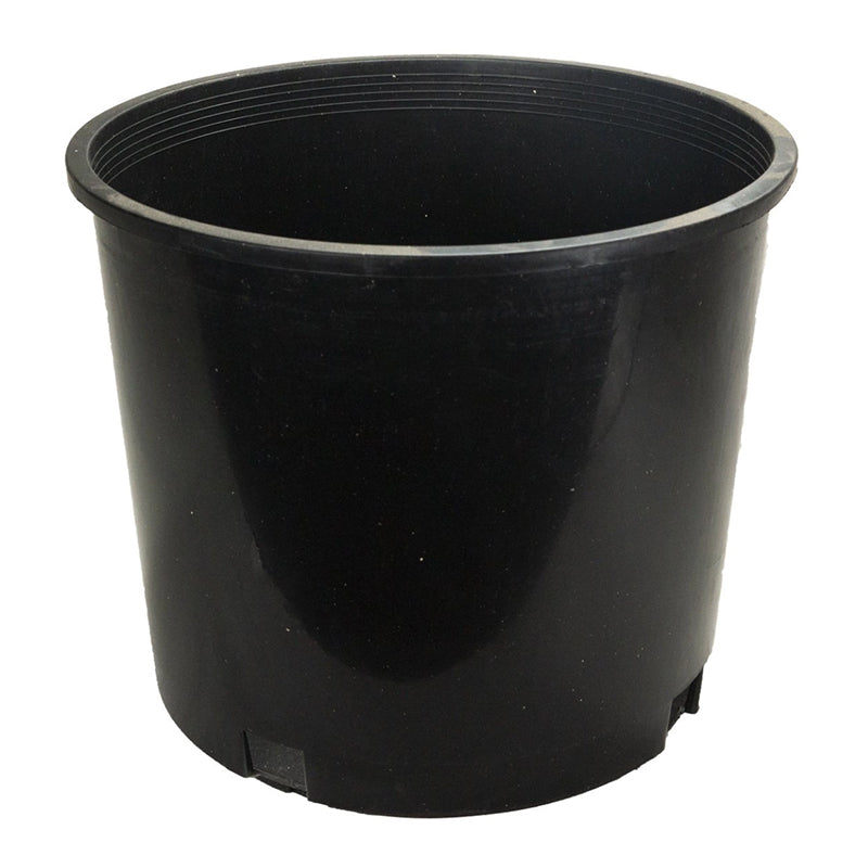 Premium Nursery Pot, 2 Gallon