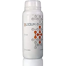 SiLICIUM Mono Silic Acid 500 ML