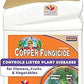 Bonide Captain Jack's Liquid Copper Concentrated Liquid Fungicide 16 oz