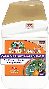Bonide Captain Jack's Liquid Copper Concentrated Liquid Fungicide 16 oz