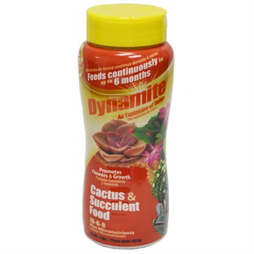Dynamite® Cactus & Succulent Food 18-6-8 - 1lb