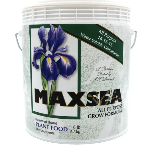 Maxes All Purpose 6lb