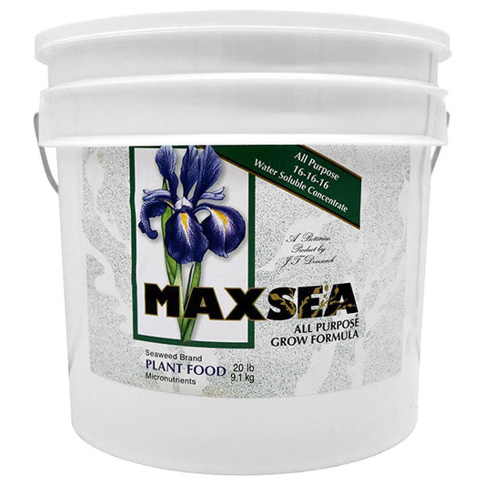 Maxsea 16-16-16 20lb