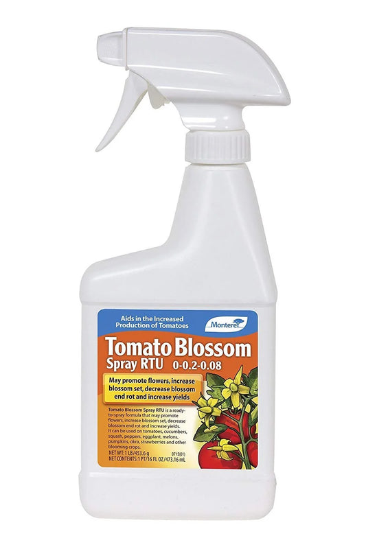 Monterey Tomato Blossom 16 oz