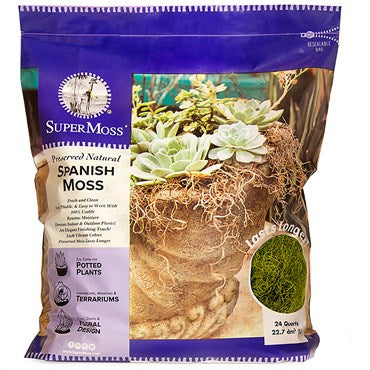 SuperMoss® Preserved Spanish Moss - 24qt - Grass