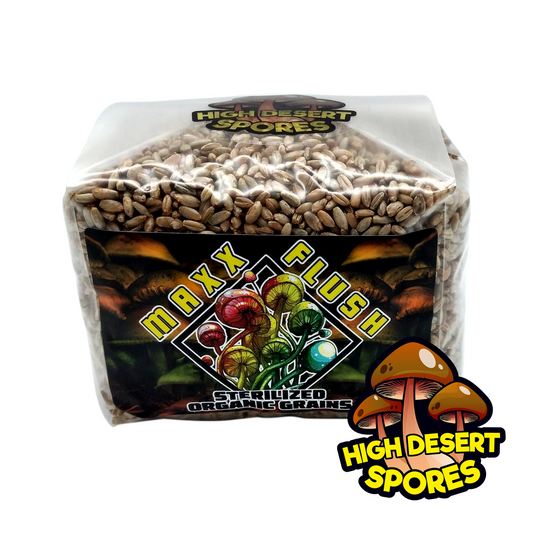 Maxx Flush Rye Berry 3lbs bag