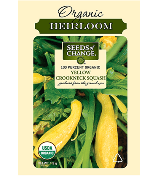 Seeds Of Change™ Yellow Crokneck Squash