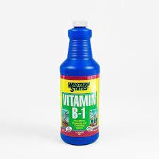 Liquinox™ Western States Vitamin B-1, Quart