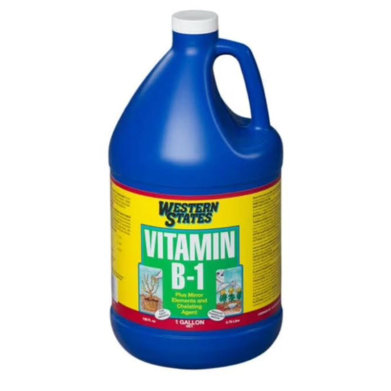 Liquinox™ Western States Vitamin B-1, Gallon